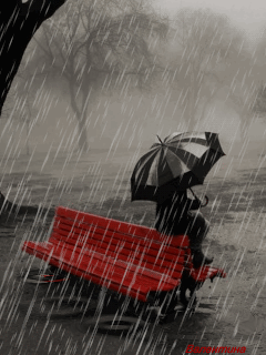 545269.gif (240×320)