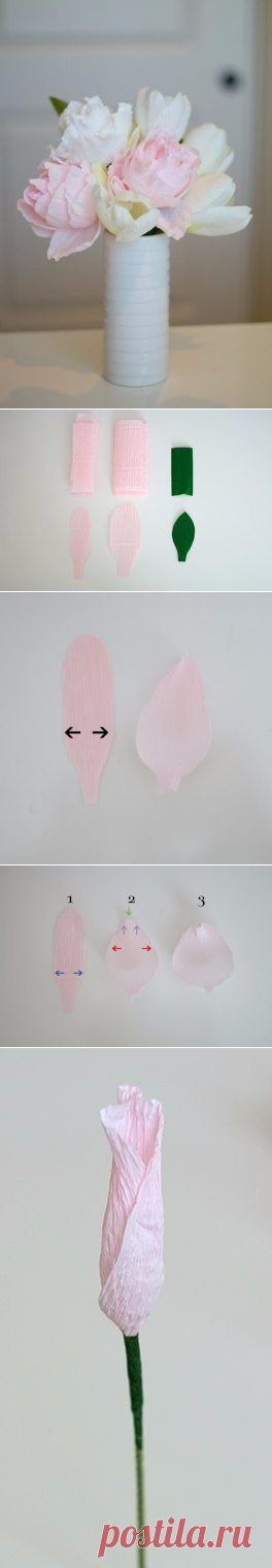 Пионы из крепбумаги