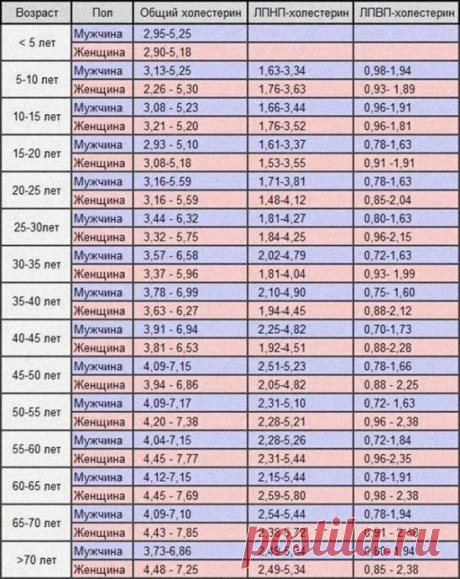 Норма холестерина в крови у мужчин и женщин. Это надо знать!