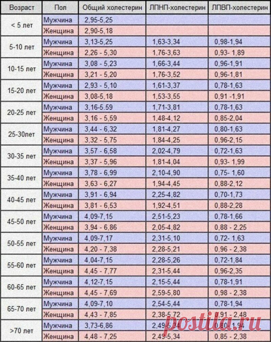 Норма холестерина в крови у мужчин и женщин. Это надо знать!