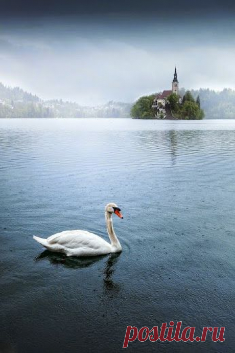 Наша Планета – Google+