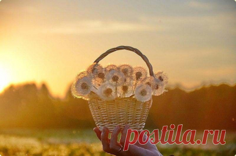 Цветущее настроение