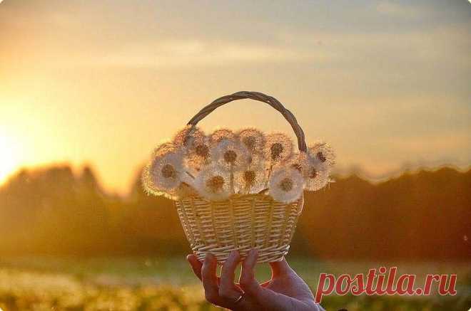 Цветущее настроение