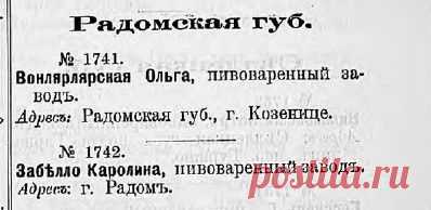 Радомская губ. Пивоваренное производство