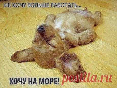 Ах, работа, работа... перейди на Федота, стирка на Ирку, глажка на Машку, готовка на Вовку, а мне на море путёвку!!!