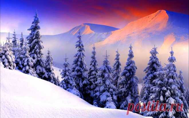 95010834_large_wintersunrise256245.jpg (899×562)