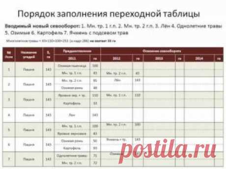 Севооборот овощей на грядках: таблица, совместимость и правильное чередование культур, схемы онлайн