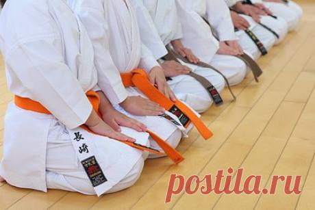 Российского детского тренера по карате задержали за домогательства к девочкам. В Московской области задержали 32-летнего обладателя черного пояса по карате, подозреваемого в домогательствах к несовершеннолетним. В течении последних трех месяцев детский тренер приставал, как минимум к четырем незнакомым школьницам в возрасте 10-12 лет. Мужчина спускал перед детьми штаны на улице.