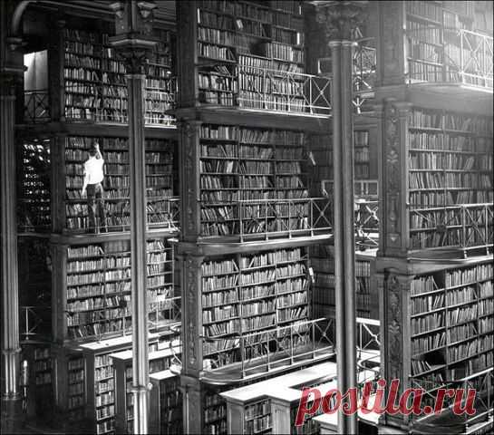 Мужчина снимает книгу с полки в главной библиотеке Цинциннати, 1874 год / Одноклассники