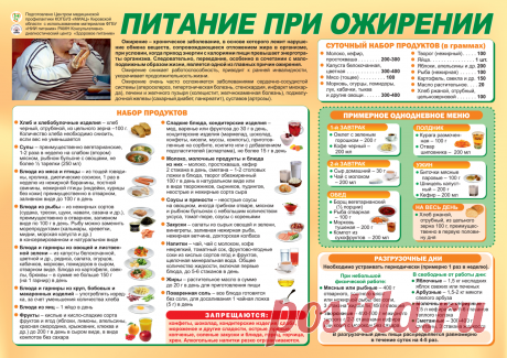 Питание при ожирении