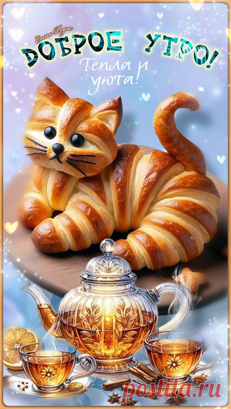 .КОШКА-КРАУСАН