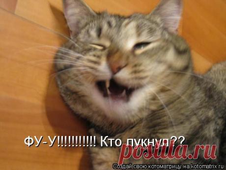 Пук может быть лекарством, которое предотвращает рак