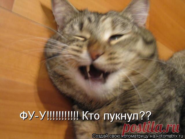 Пук может быть лекарством, которое предотвращает рак