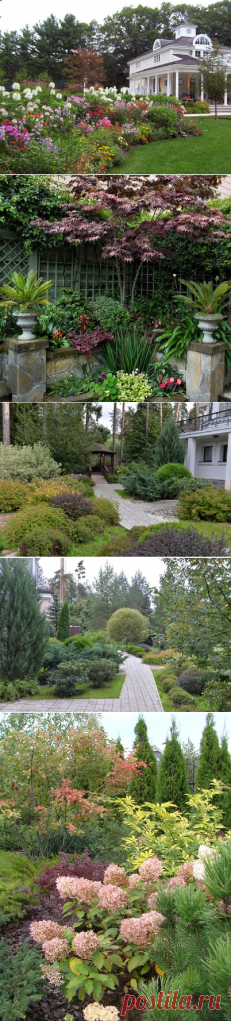 Ландшафтные группы: солитер, пара деревьев или массив - для красивого сада