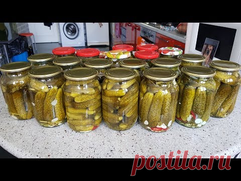 Огурцы на Зиму БЕЗ УКСУСА! БЕЗ КИПЯТКА! ОТВЕТЫ НА ВОПРОСЫ. Выпуск №533 | КОНСЕРВАЦИЯ | Постила