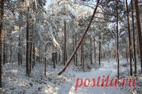 Магнитные бури сегодня: прогноз на 9 февраля – легкое волнение магнитосферы