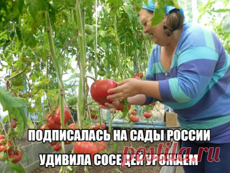 Друзья 
Выращиваете растения на даче или дома на подоконнике? 
Тогда рекомендуем вступить в группу
  Сады России 
Здесь садоводы и агрономы делятся актуальными секретами супер-урожая в 2017 году. 
Вот эта группа Сады России. Нажмите на цветок.