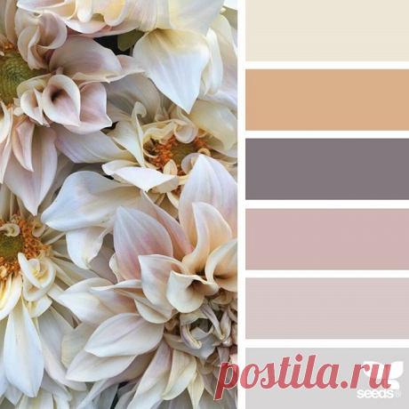 today's inspiration image for { petaled hues } is by @flowerwellny ... thank you, Jenny, for sharing your gorgeous photo in #SeedsColor !