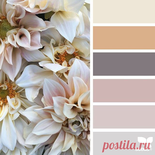 today's inspiration image for { petaled hues } is by @flowerwellny ... thank you, Jenny, for sharing your gorgeous photo in #SeedsColor !
