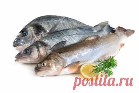 Советы и рекомендации по определению качества рыбы | CityWomanCafe.com