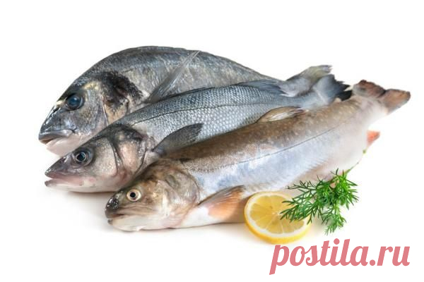 Советы и рекомендации по определению качества рыбы | CityWomanCafe.com