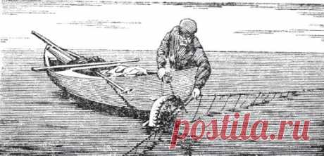 ЛОВЛЯ ОСЕТРОВЫХ РЫБ САМОЛОВНЫМИ СНАСТЯМИ (ИСТОРИЧЕСКАЯ СПРАВКА) / Крючковые рыболовные снасти