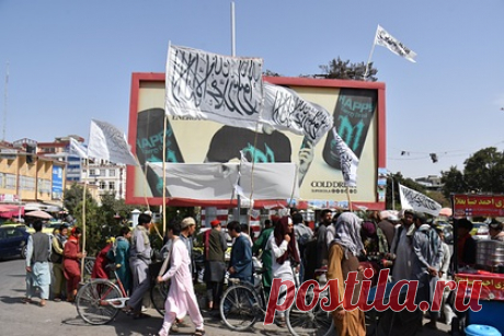 Талибы назначили глав нескольких министерств Афганистана. Боевики радикального террористического движения «Талибан» назначили исполняющих обязанности глав нескольких министерств Афганистана. Талибы назначили на пост главы МВД Садра Ибрагима, а исполняющим обязанности министра финансов стал Гуль Ага. Представители движения также возглавят министерство образования.