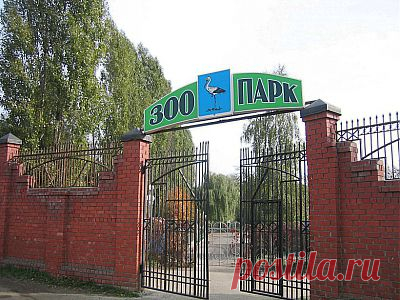 Белгородский зоопарк расположился на берегу реки Везелка на проспекте Богдана Хмельницкого 16-а. Работает Белгородский зоопарк в летнее время с 1 апреля по 1 октября с 10-00 до 20-00, в зимнее время с 1 октября по 1 апреля с 10-00 до 18-00.
