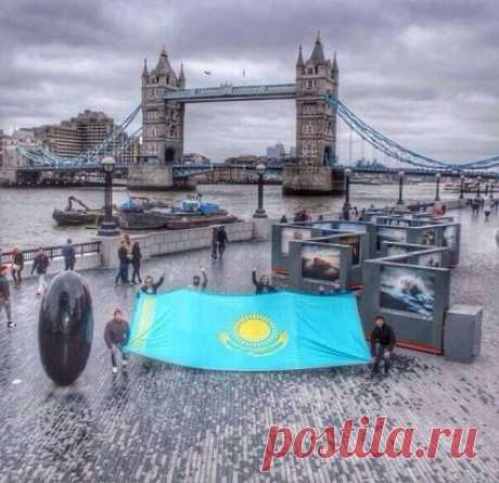 Кок туымыз ушин лайк