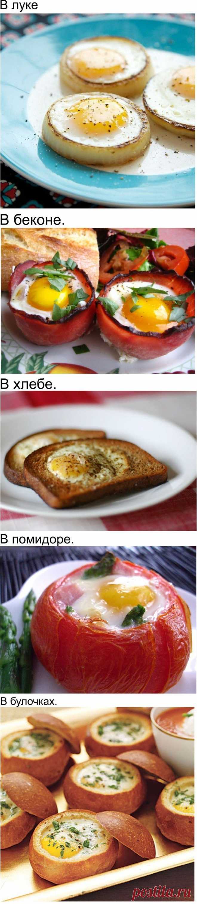 Такая разная яичница | ОПТИМИСТ