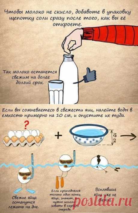 МОЛОКО и ЯЙЦА !!!