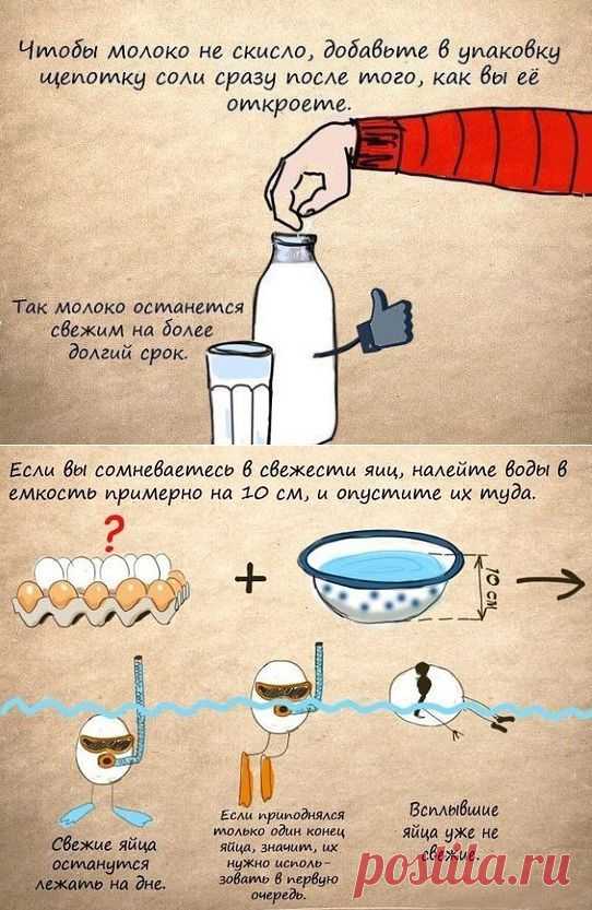 МОЛОКО и ЯЙЦА !!!