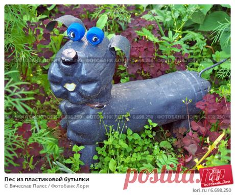 сайт поделки из пластиковых бутылок: 19 тыс изображений найдено в Яндекс.Картинках
