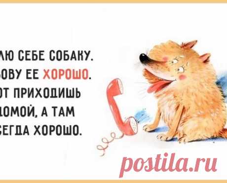 17 весёлых картинок, которые раскрасят жизнь во все цвета радуги
