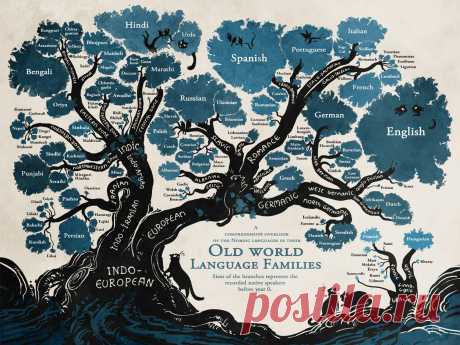 language family tree_cropped.jpg (1250×938)