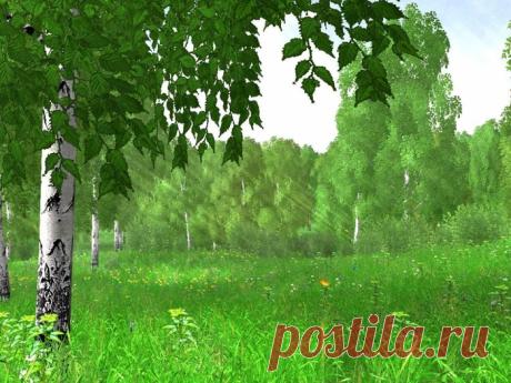 Плейкаст «С ТРОИЦЕЙ!»