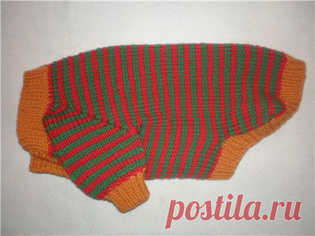Картинка