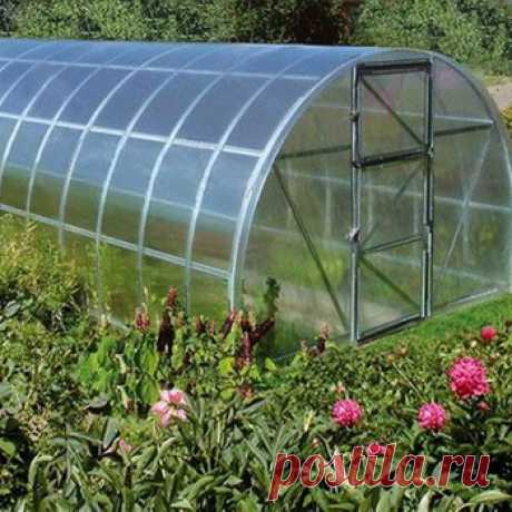 Какой формы теплица лучше? - Садоводка