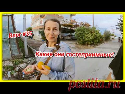 #35 Турция! Кормят и кормят! Ищем, где подстричься! Необычные ягоды!😮