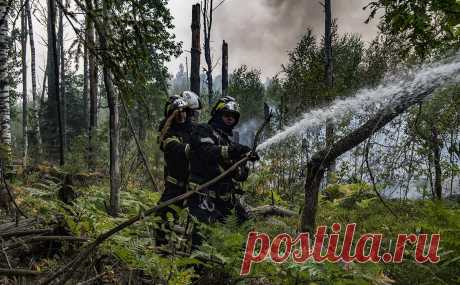 Во Владимире заявили, что пожар идет в сторону торфяников Подмосковья. Рязанские природные пожары движутся не к Владимирской области, а в сторону Шатурского района Подмосковья. В начале недели в Шатуре ввели особый противопожарный режим