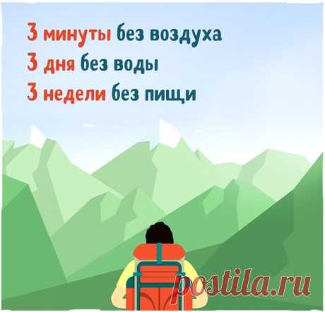 Знание этих 15 фактов однажды может спасти вашу жизнь