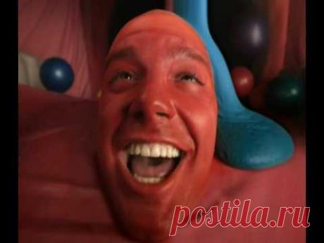 Танцы с коровами и измена с драже: подборка «отвратительной» рекламы от блога Cursed Ads