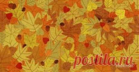 3 загадки для хорошего настроения и разминки мозга Чтобы поднять настроение, предлагаем немного размять мозг загадками.
На этих картинках кое-что спрятано. Приглядитесь внимательно к опавшим листьям и фруктам в корзине.
1. Среди опавших листьев притаи...