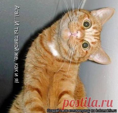 Рыжий позитивчик!