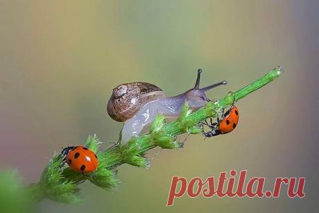 Фразы,Высказывания,Стихи,Цитаты,Видео...
Елена Станова