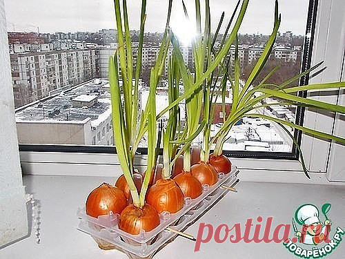 Одноклассники