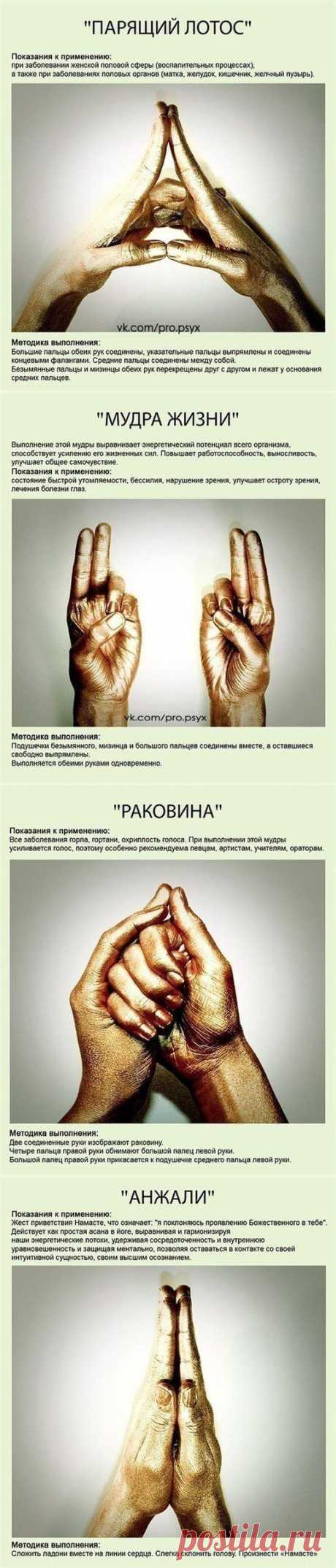 Мудры - йога для пальцев