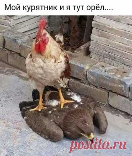 ))