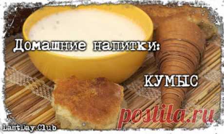 ДОМАШНИЕ НАПИТКИ ВЫЖИВАЛЬЩИКА: КУМЫС