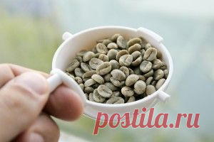 Хлорогеновая кислота для похудения | Рецепты вдохновения